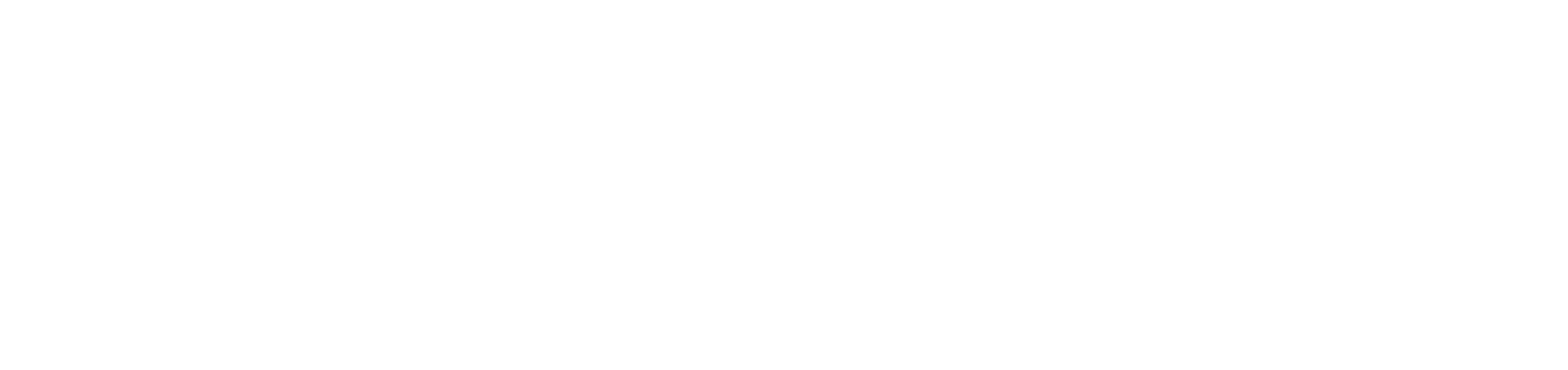 Logo BYD